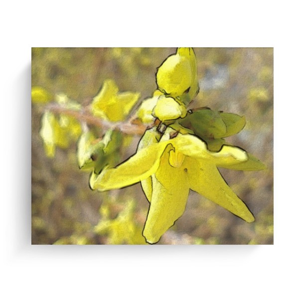 Květ zlatého deště